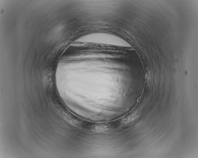 X0000074030462200609111718