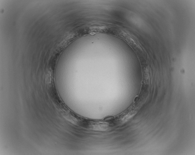 X0000074030463200609111718