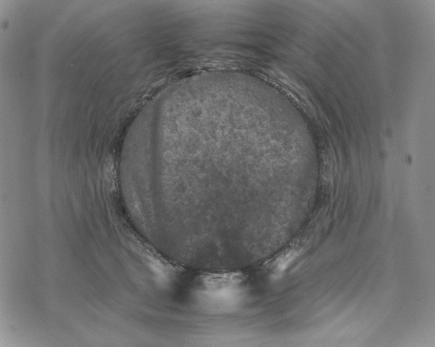 X0000074030465200609111718