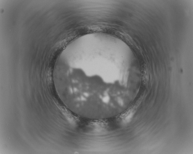 X0000074030466200609111718