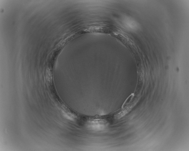 X0000074030467200609111718