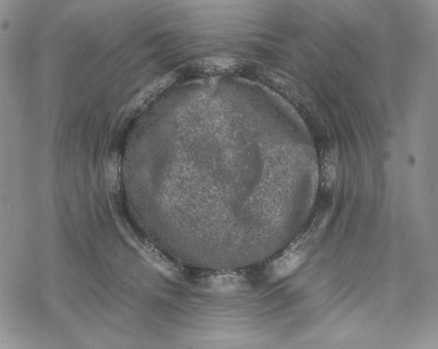 X0000074030468200609111718