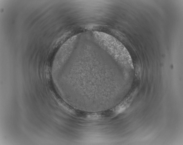 X0000074030470200609111718