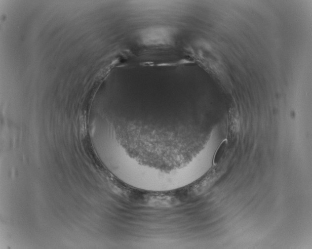 X0000074030471200609111718