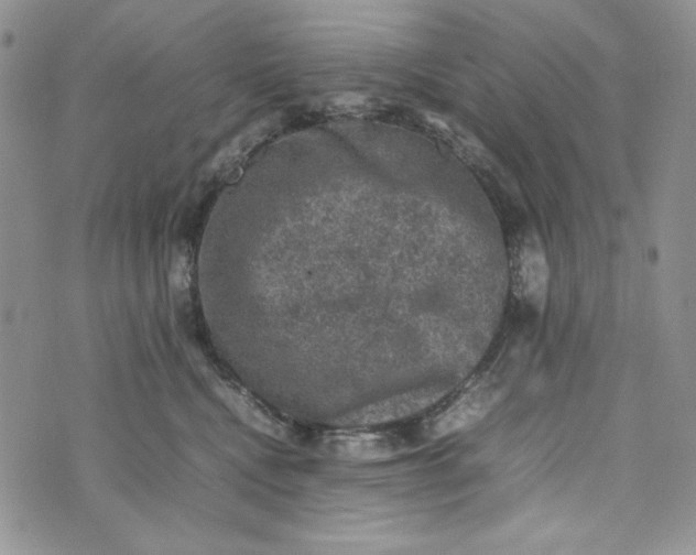 X0000074030472200609111718