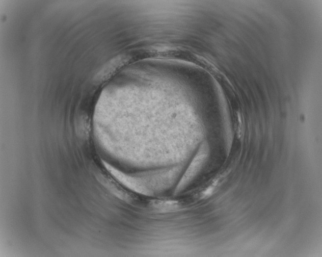 X0000074030476200609111718