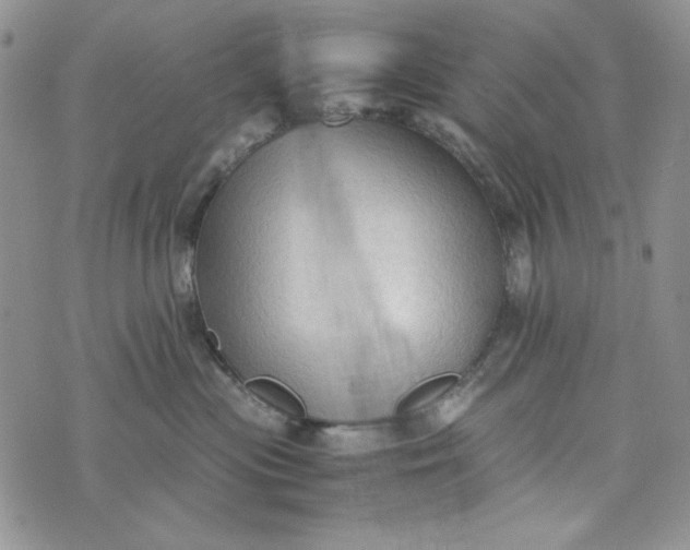 X0000074030477200609111718