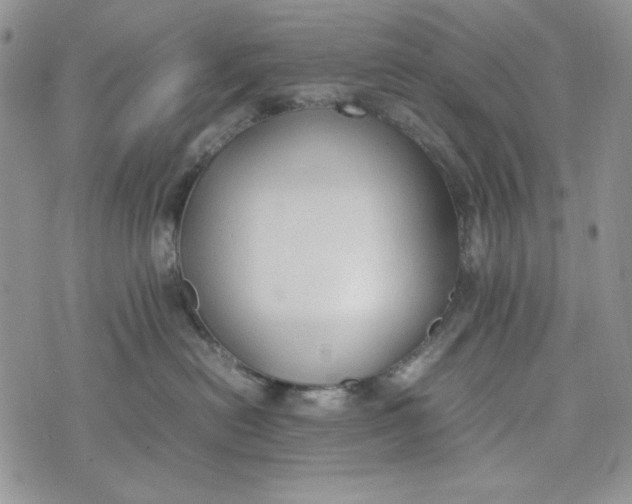 X0000074030478200609111718