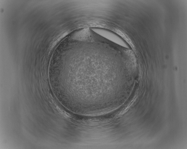 X0000074030481200609111718