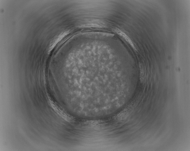 X0000074030482200609111718