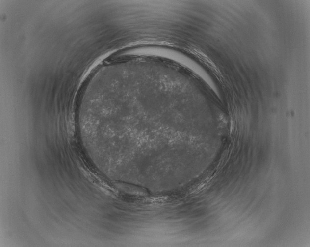 X0000074030484200609111718