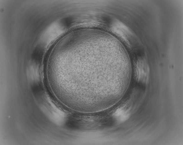 X0000074030486200609111718