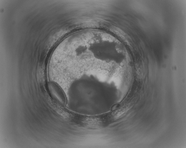 X0000074030487200609111718