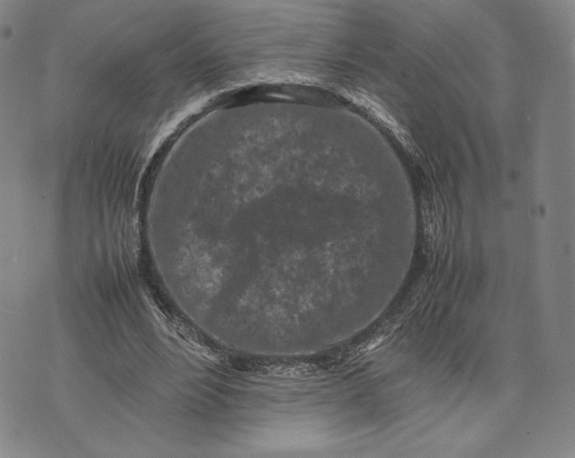 X0000074030488200609111718