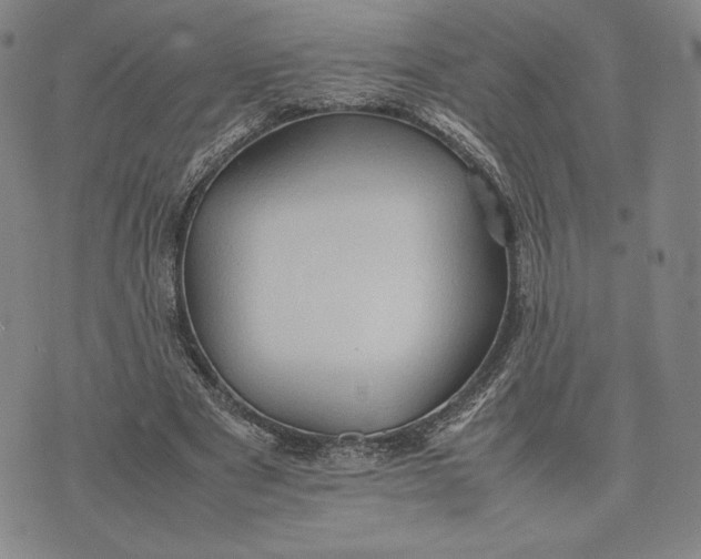 X0000074030489200609111718