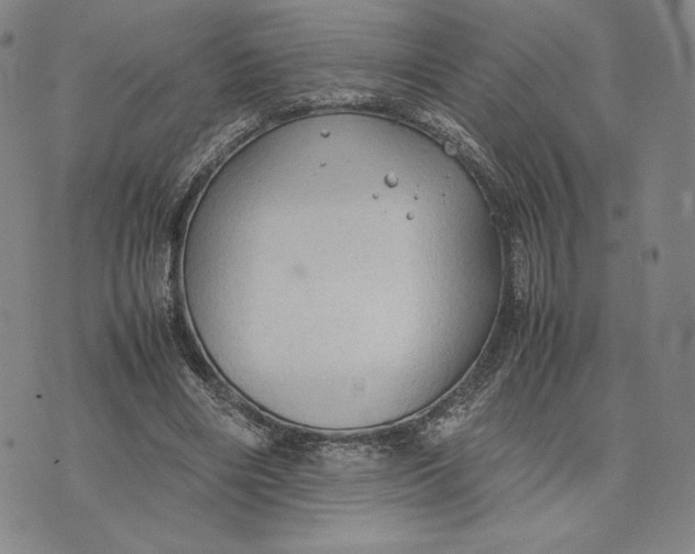 X0000074030490200609111718