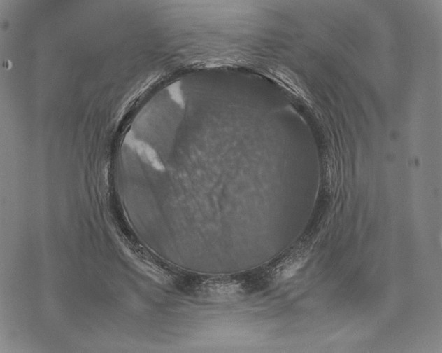 X0000074030491200609111717