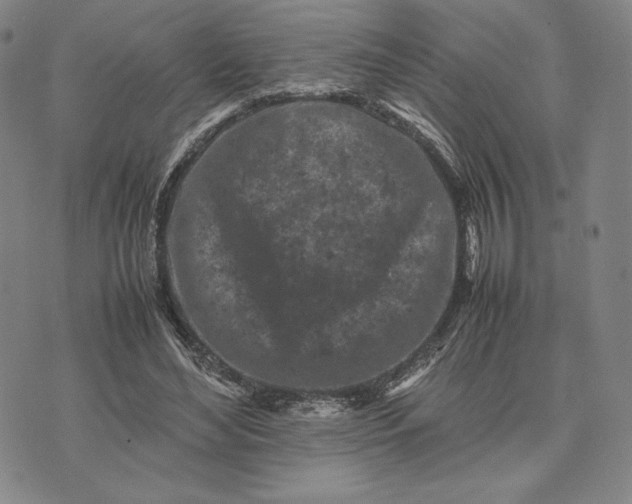 X0000074030492200609111717