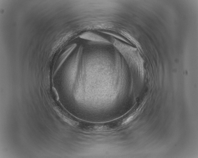 X0000074030493200609111717