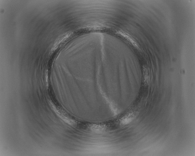 X0000074030494200609111717