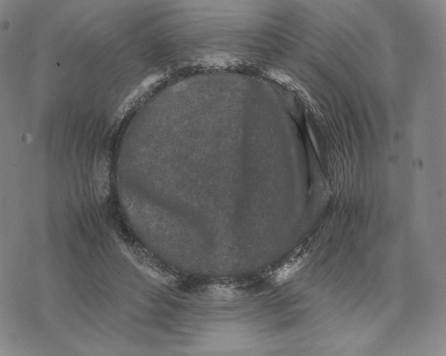 X0000074030496200609111717