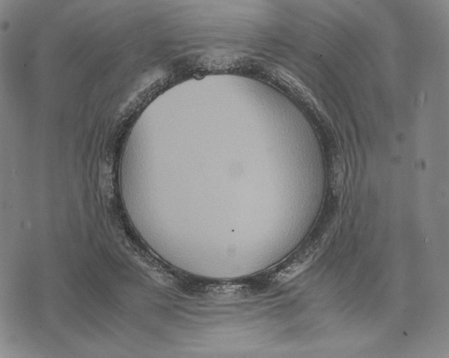 X0000074030497200609111717