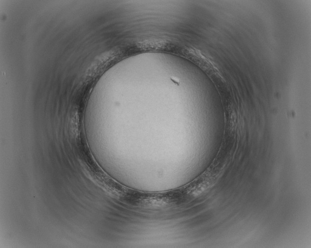 X0000074030498200609111717