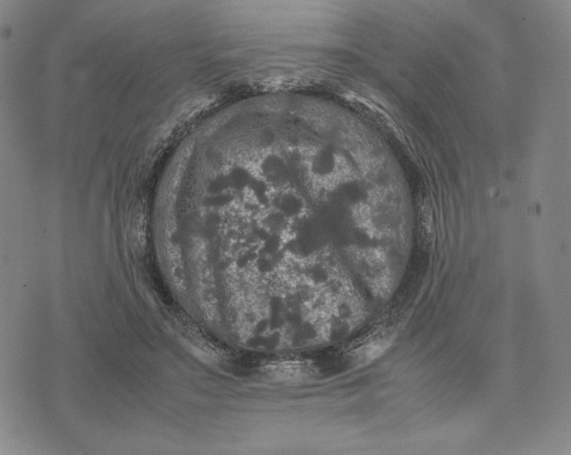 X0000074030499200609111717