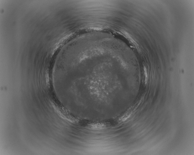 X0000074030500200609111717