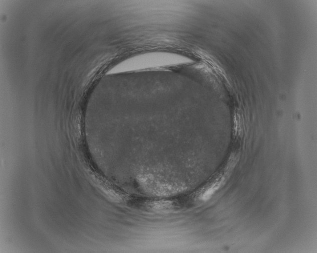 X0000074030501200609111717