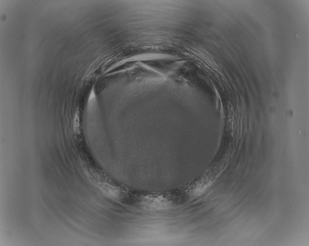 X0000074030502200609111717