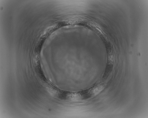 X0000074030503200609111717