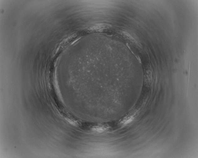 X0000074030504200609111717