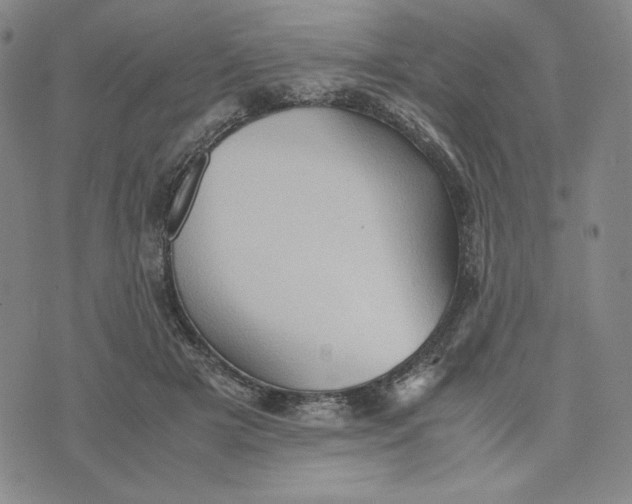 X0000074030505200609111717