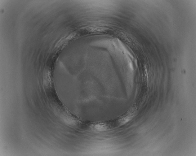 X0000074030506200609111717