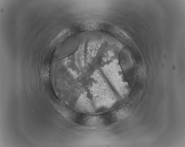 X0000074030507200609111717