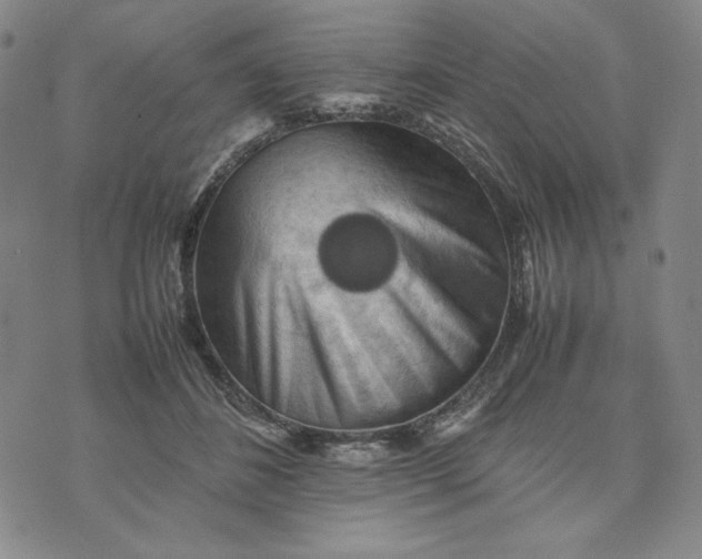 X0000074030508200609111717