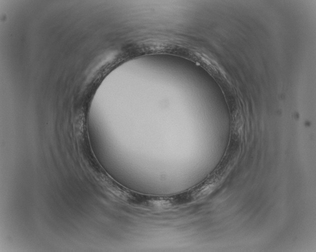 X0000074030509200609111717