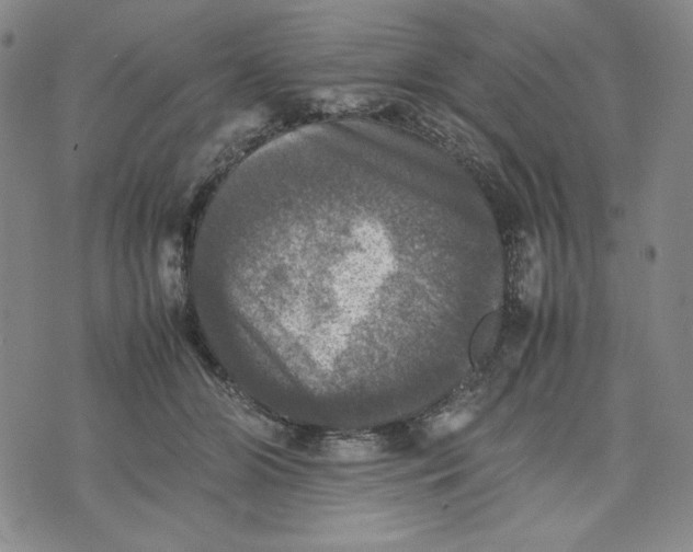 X0000074030510200609111717