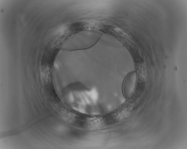 X0000074030511200609111717