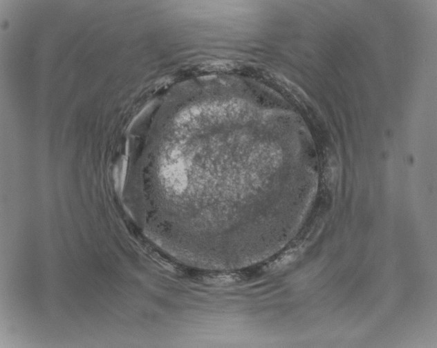 X0000074030513200609111717