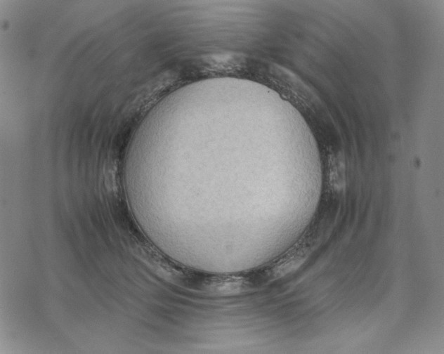 X0000074030514200609111717