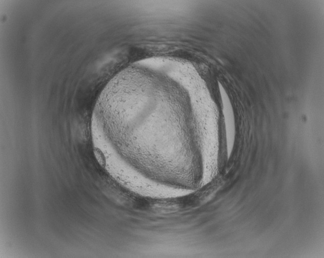 X0000074030515200609111717