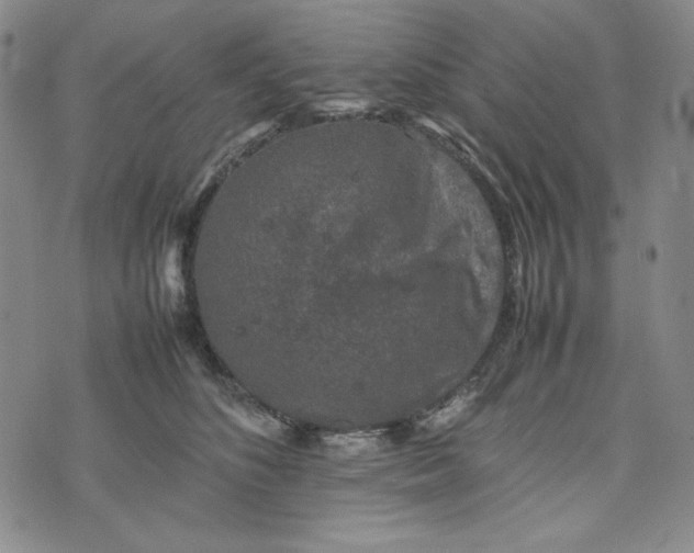 X0000074030516200609111717