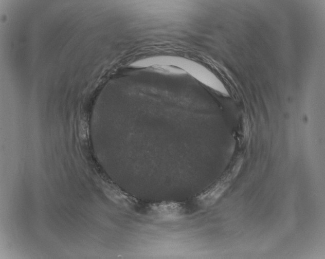 X0000074030517200609111717