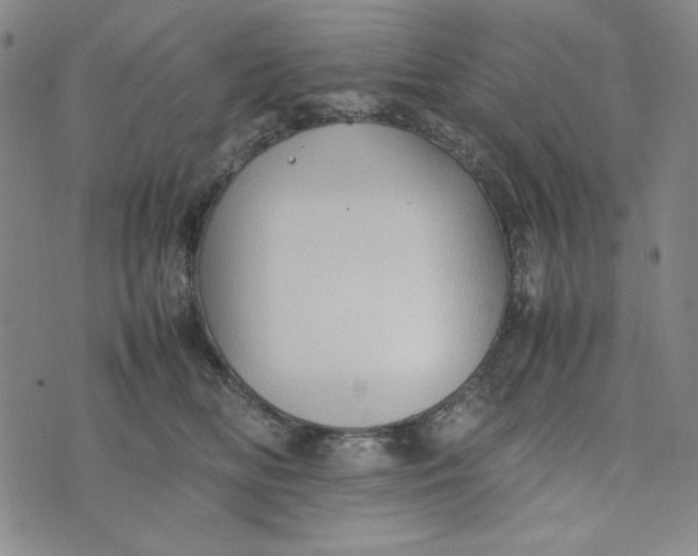 X0000074030518200609111717