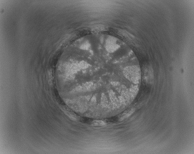 X0000074030519200609111717