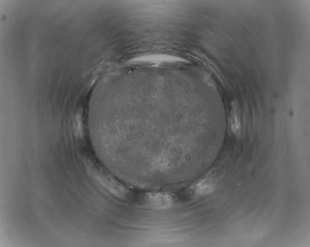 X0000074030520200609111717