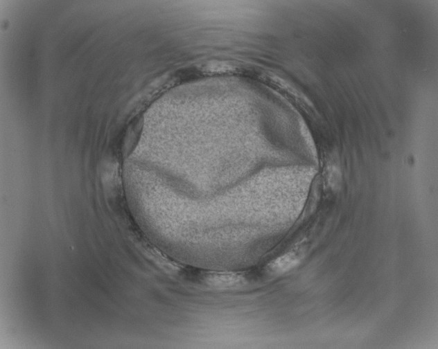 X0000074030521200609111717