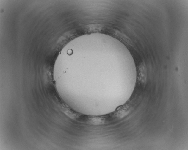 X0000074030522200609111717